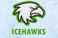 Leithana-Icehawks