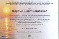 Siegfried „Sigi“ Gorgosilich im 61. Lebensjahr